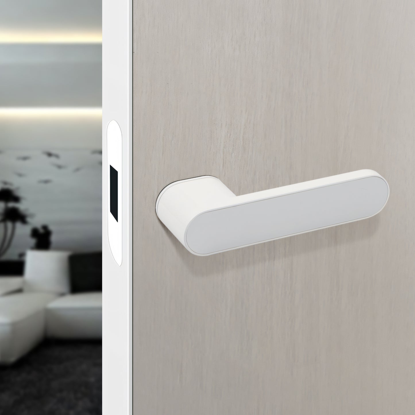 New Ecological Indoor Door Lock
