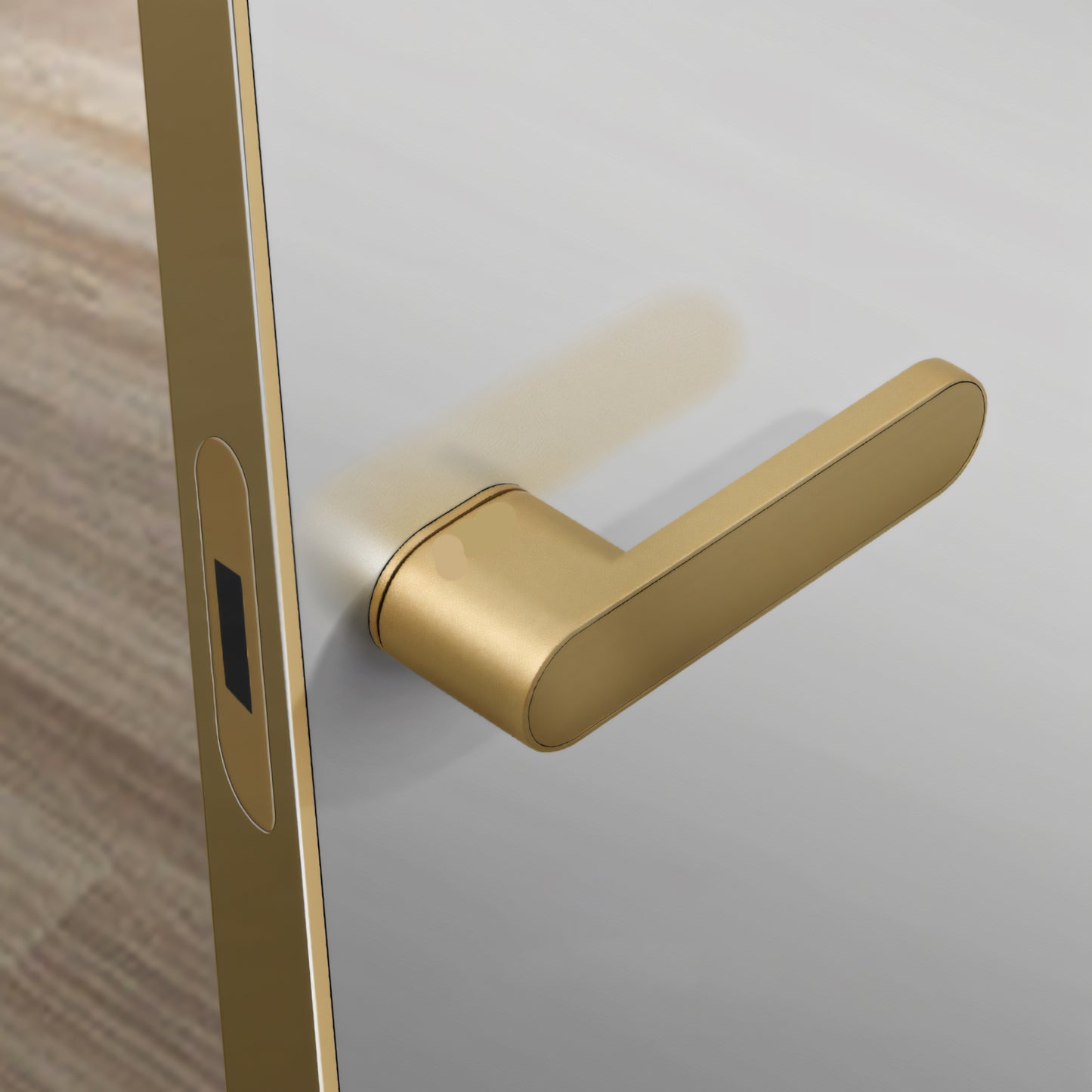New Ecological Indoor Door Lock